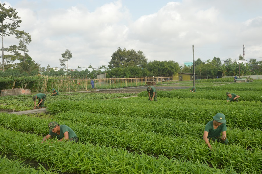 Tự lực, tự cường nâng cao đời sống bộ đội